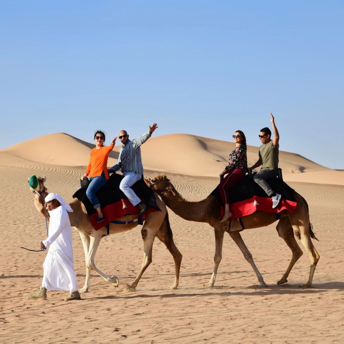 Camel Trekking Desert Adventures
