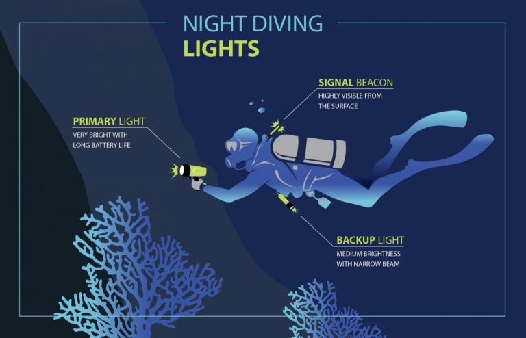 Night Diving Locations and Tips