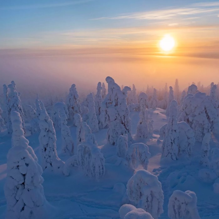 Best Cross-Country Skiing Destinations