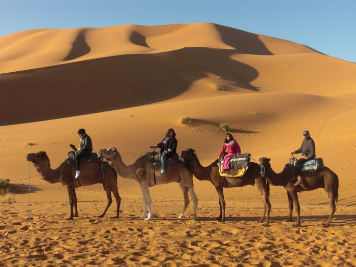 Exploring the Sahara Desert