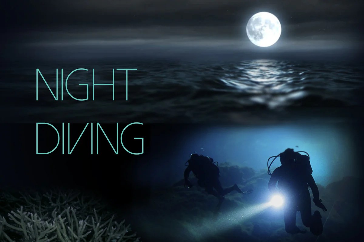 Night Diving Locations and Tips