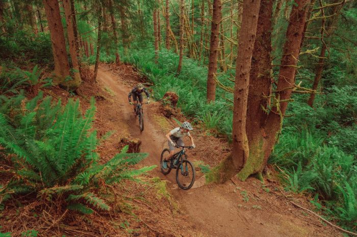 Mountain Biking Trails and Tips