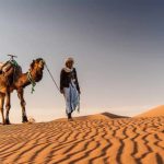 Camel Trekking Desert Adventures