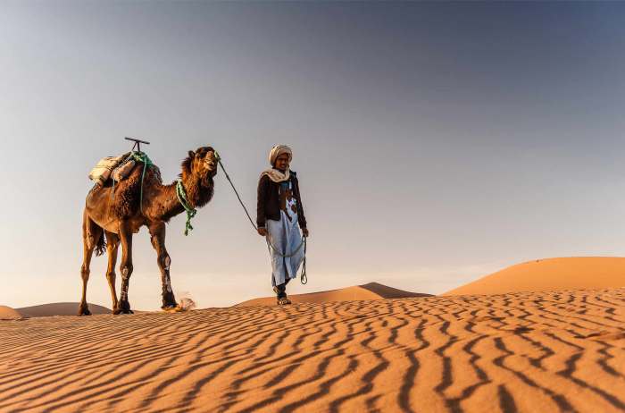 Camel Trekking Desert Adventures