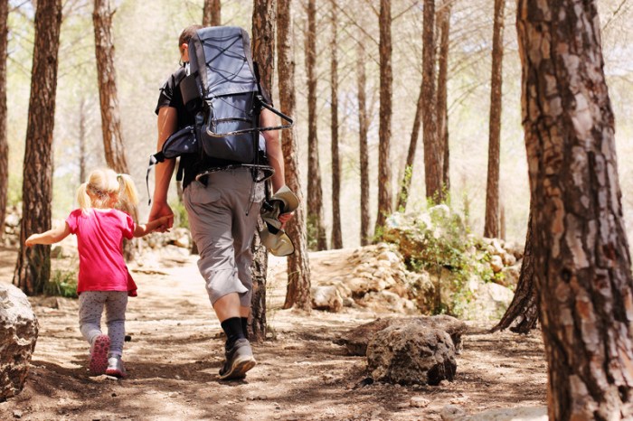 Family-Friendly Hiking Trails