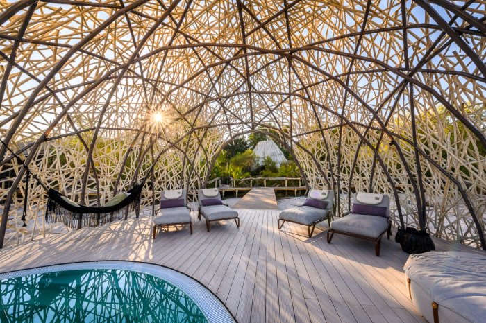 Best Safari Resorts and Camps