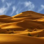 Exploring the Sahara Desert