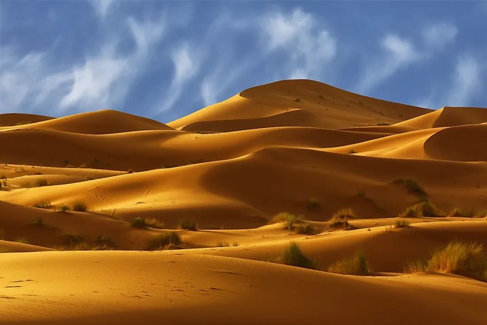 Exploring the Sahara Desert